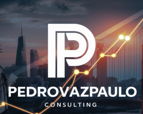 pedrovazpaulo business consultant