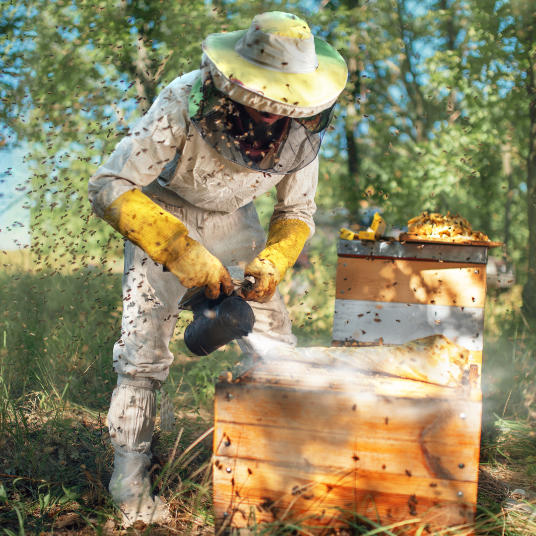 Professional Bee Suits