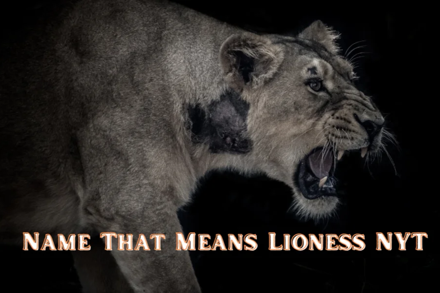 name that means lioness nyt